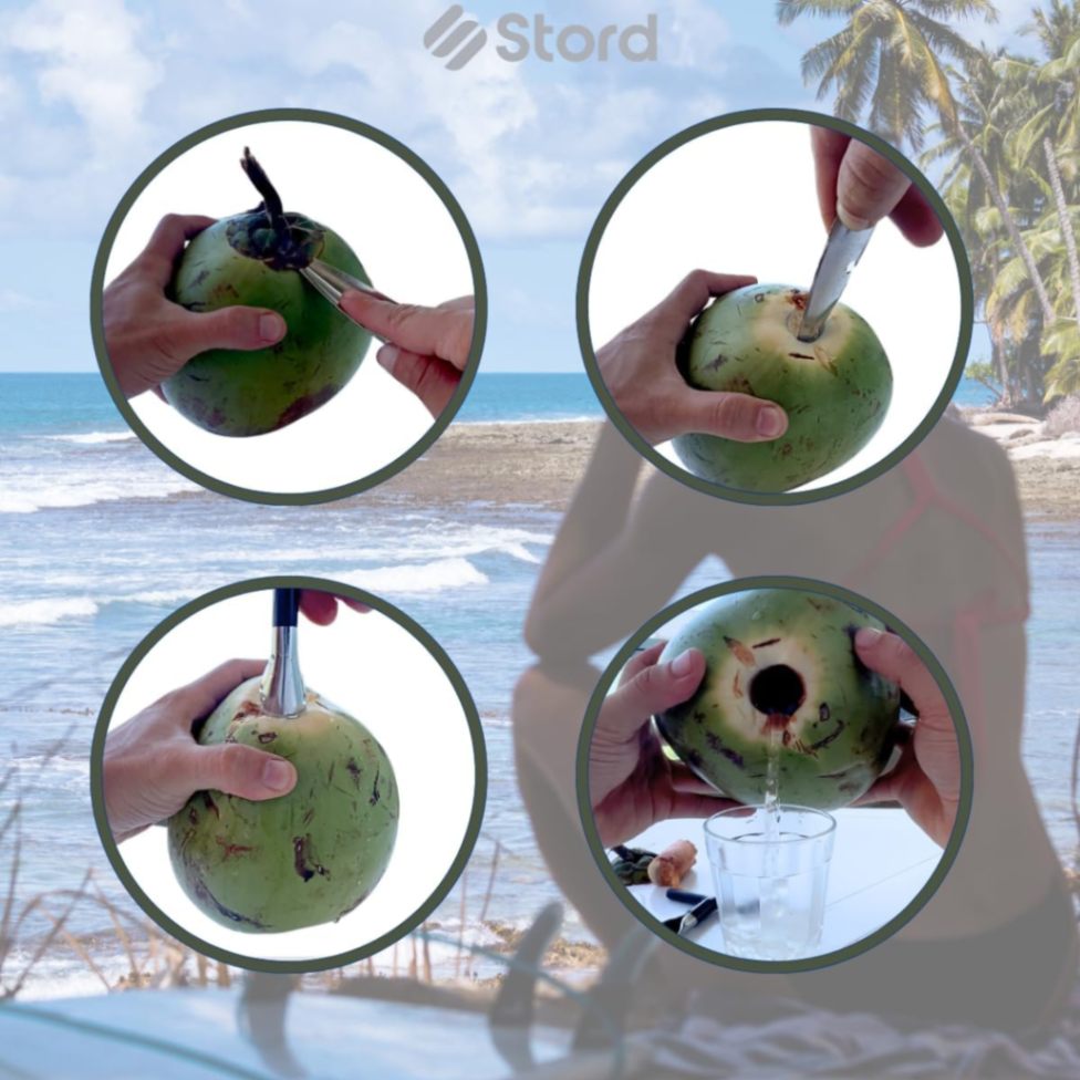 Coconut Hole Opener, Coconut Opener, Coconut Cutter, Dab Opener 3