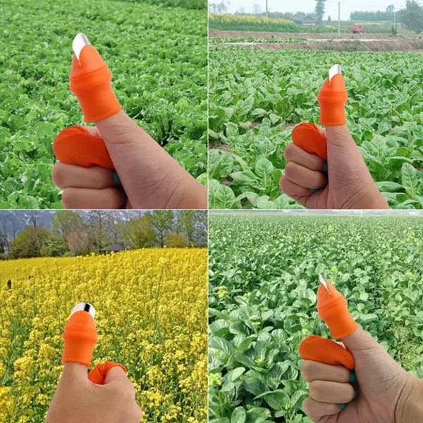 Silicone Finger Protector for vegetables cutting (6 Pieces) 1 Set 4