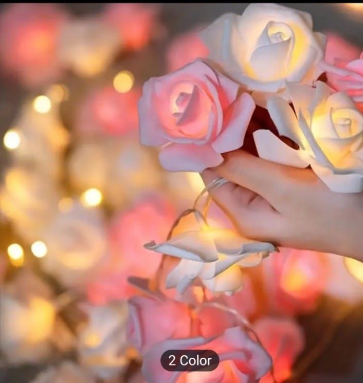 Rose Flower Room Decoration Light, Fairy String Light - LEDs Modes change - Room Decoration Light 4